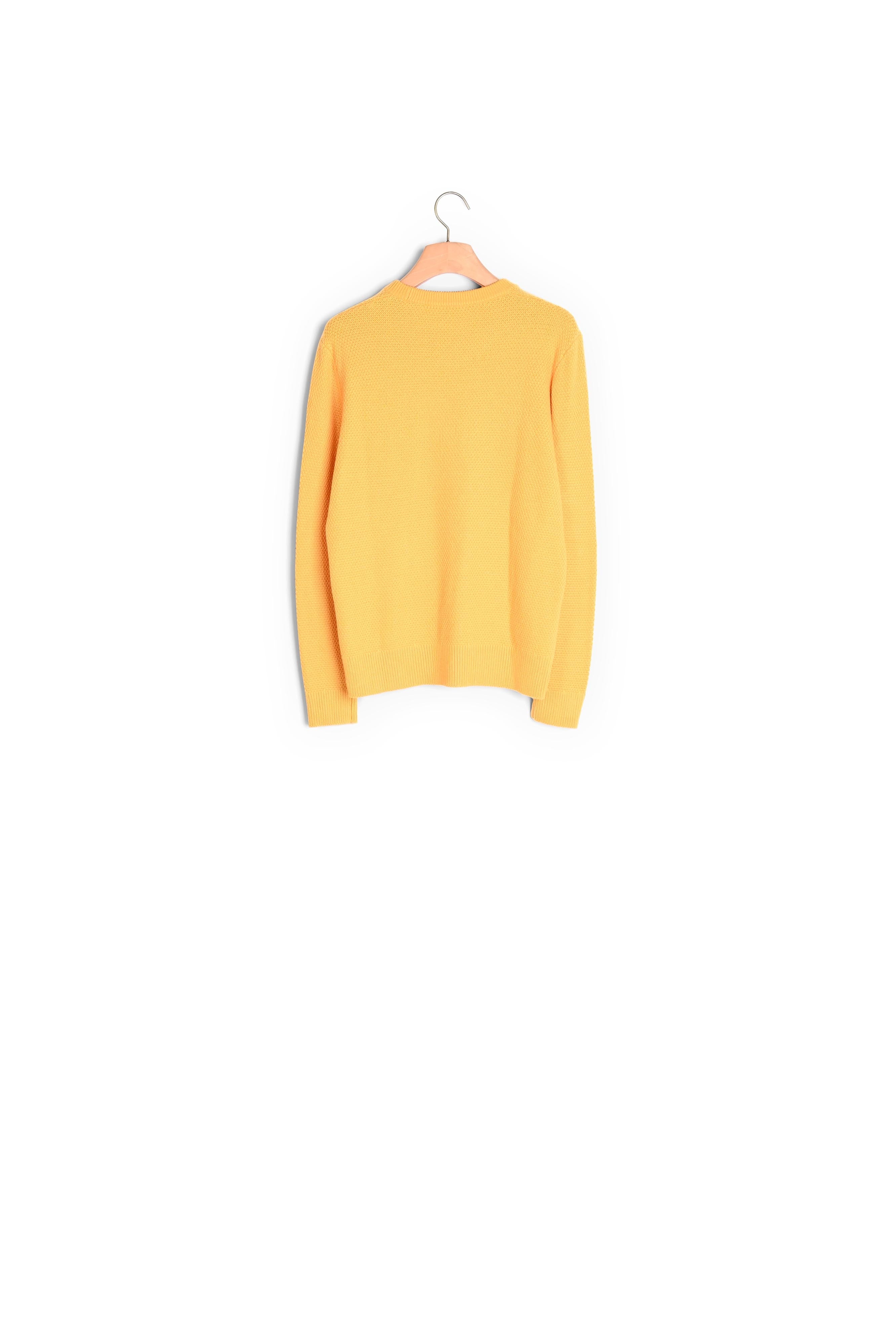 Pull en laine Sandro seconde main