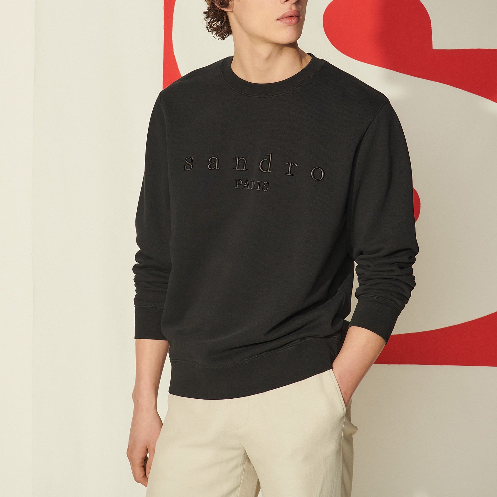 Sweat avec broderie Sandro Sandro seconde main